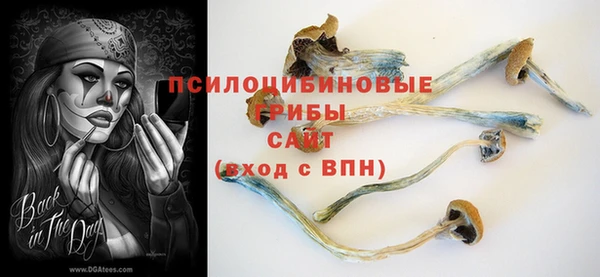 крисы Армянск